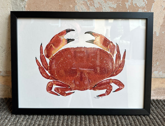 Cromer crab -  mixed media print - linocut with watercolour paint dots