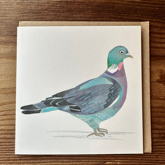 Pigeon Card